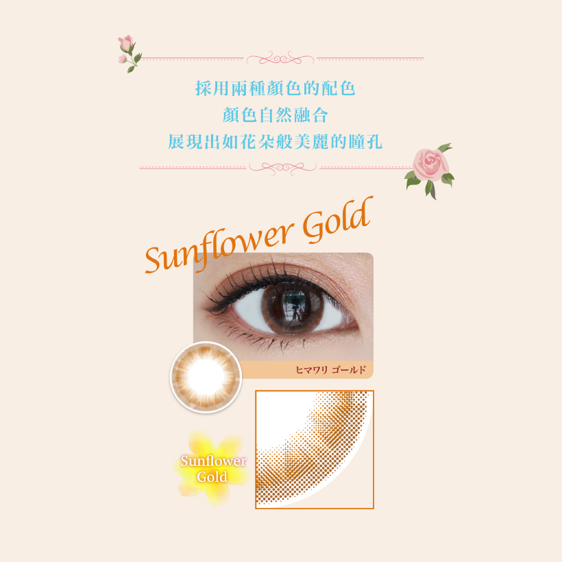 Kukka-Sunflower Gold;Kukka Monthly Color Con;啡色Con;棕色Con;自然啡;透明感;自然棕;氣質棕;日雜激推款;微透雙眸